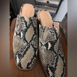 Snake skin shoes